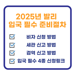 발리 입국 준비